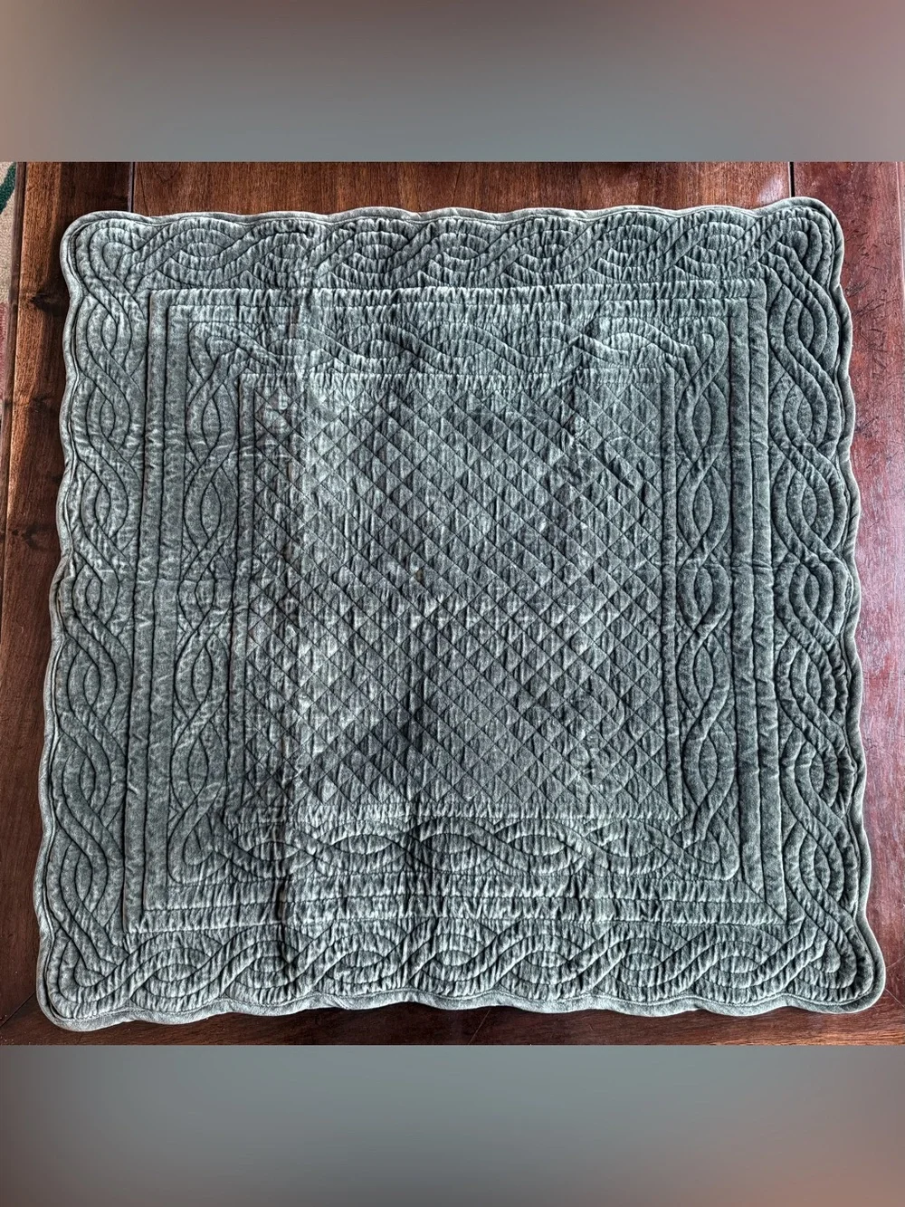 Pottery Barn Velvet Heirloom Quilted Sham